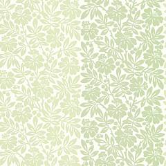 0286CTSOLTI, Painted Papers, Little Greene